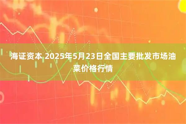 海证资本 2025年5月23日全国主要批发市场油菜价格行情