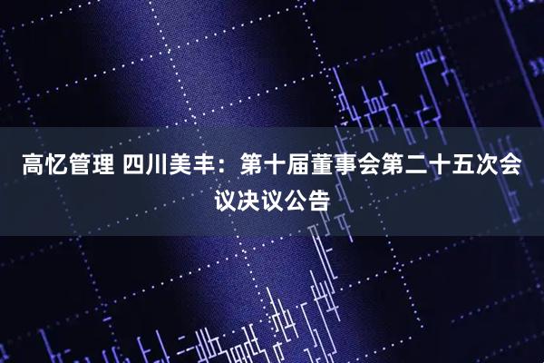 高忆管理 四川美丰：第十届董事会第二十五次会议决议公告