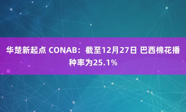 华楚新起点 CONAB：截至12月27日 巴西棉花播种率为25.1%