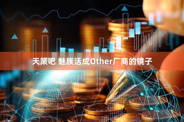 天策吧 魅族活成Other厂商的镜子