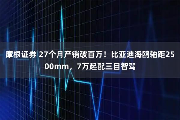摩根证券 27个月产销破百万!比亚迪海鸥轴距2500mm,7万起配三目智驾